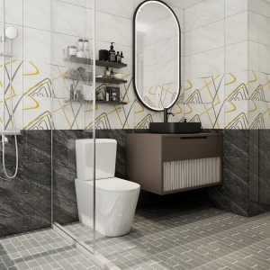 GẠCH TT-GZZM VÀ A-GN-MS-XZDX